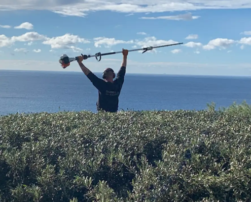 Taille d’une haie en bord de mer